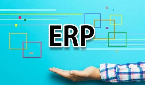 外貿(mào)出口商家ERP系統(tǒng)定制 深圳軟件開(kāi)發(fā)的力量與優(yōu)勢(shì)